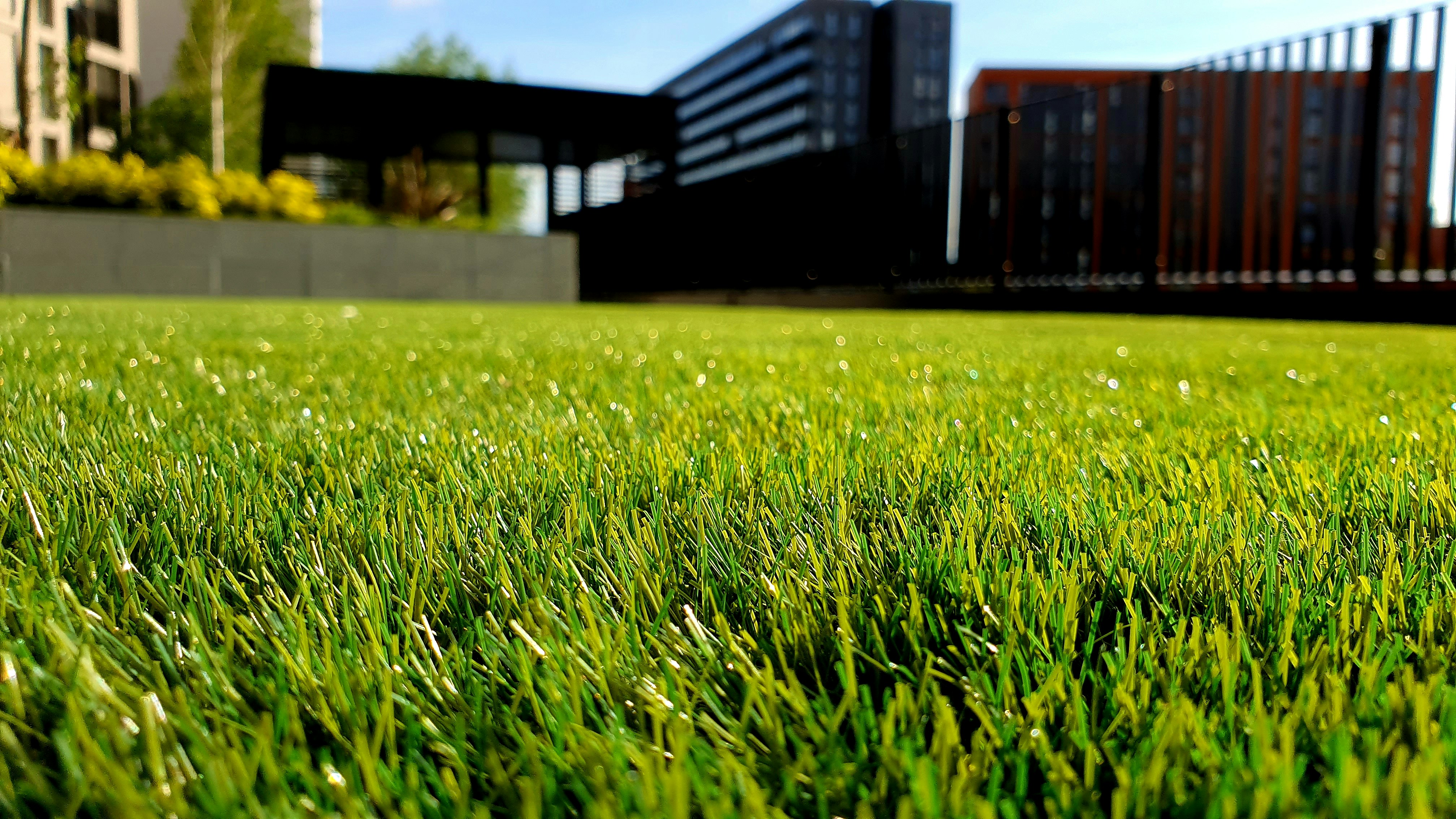 Lawn & Garden